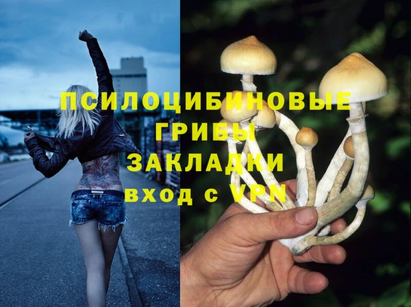 хмурый Новозыбков