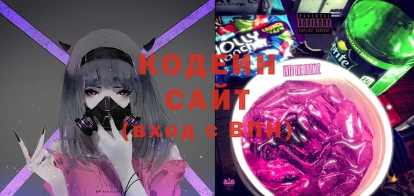 хмурый Новозыбков