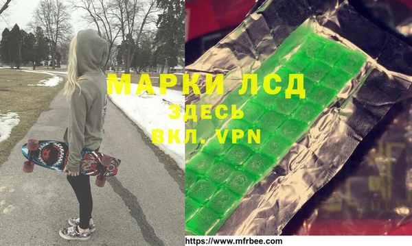 хмурый Новозыбков