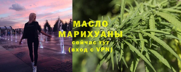 хмурый Новозыбков