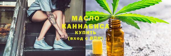 хмурый Новозыбков